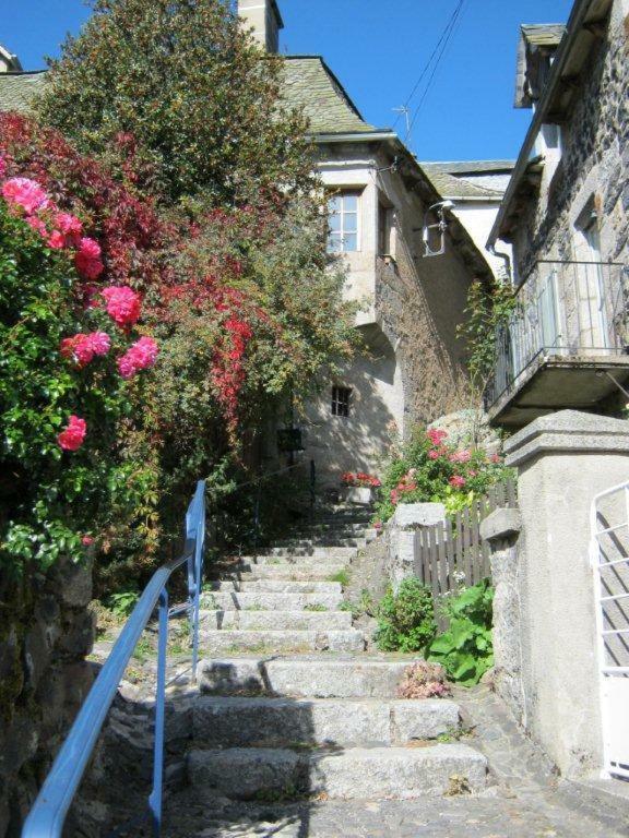 La Cure Grande Maison De Charme De 2 A 14 Personnes Saint-Urcize Экстерьер фото