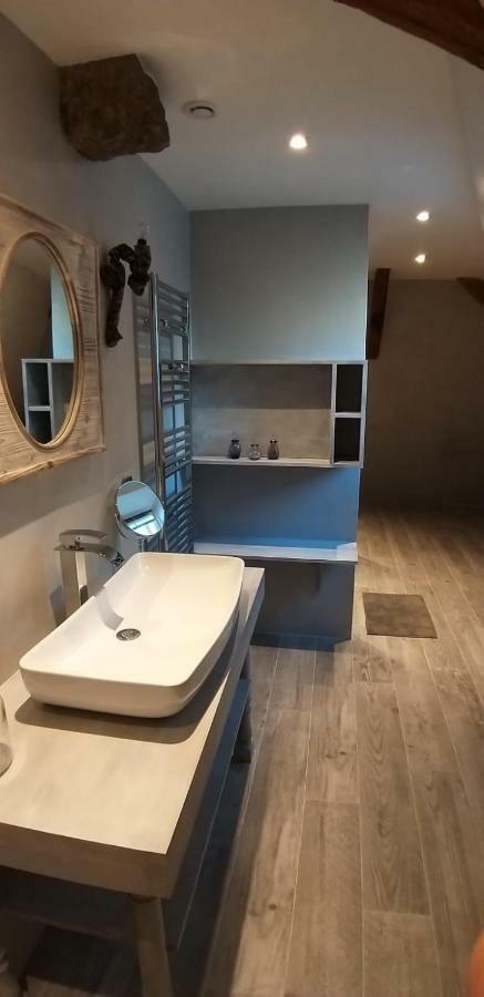 La Cure Grande Maison De Charme De 2 A 14 Personnes Saint-Urcize Экстерьер фото